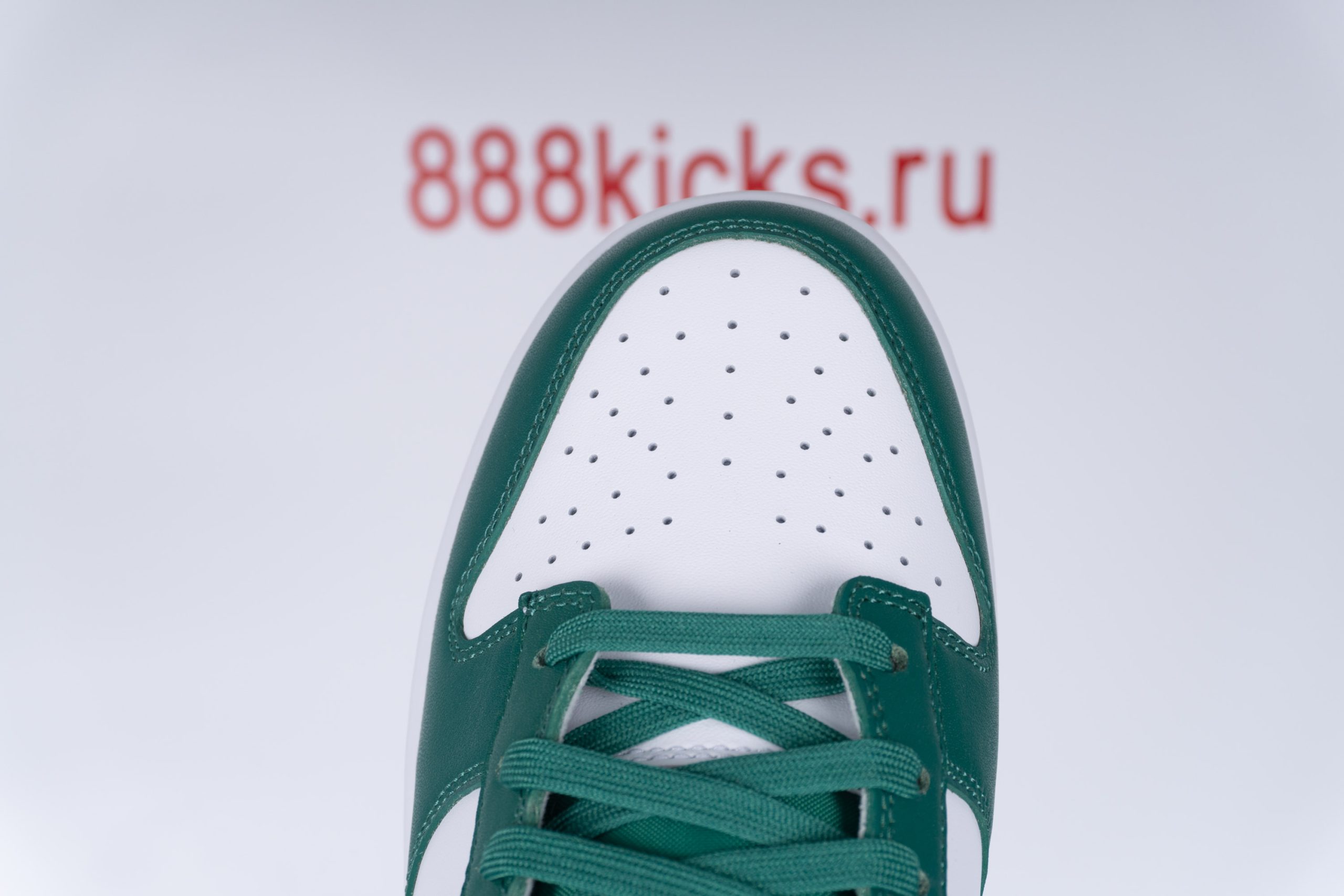 Nike Dunk Low Essential Paisley Pack Green (W)