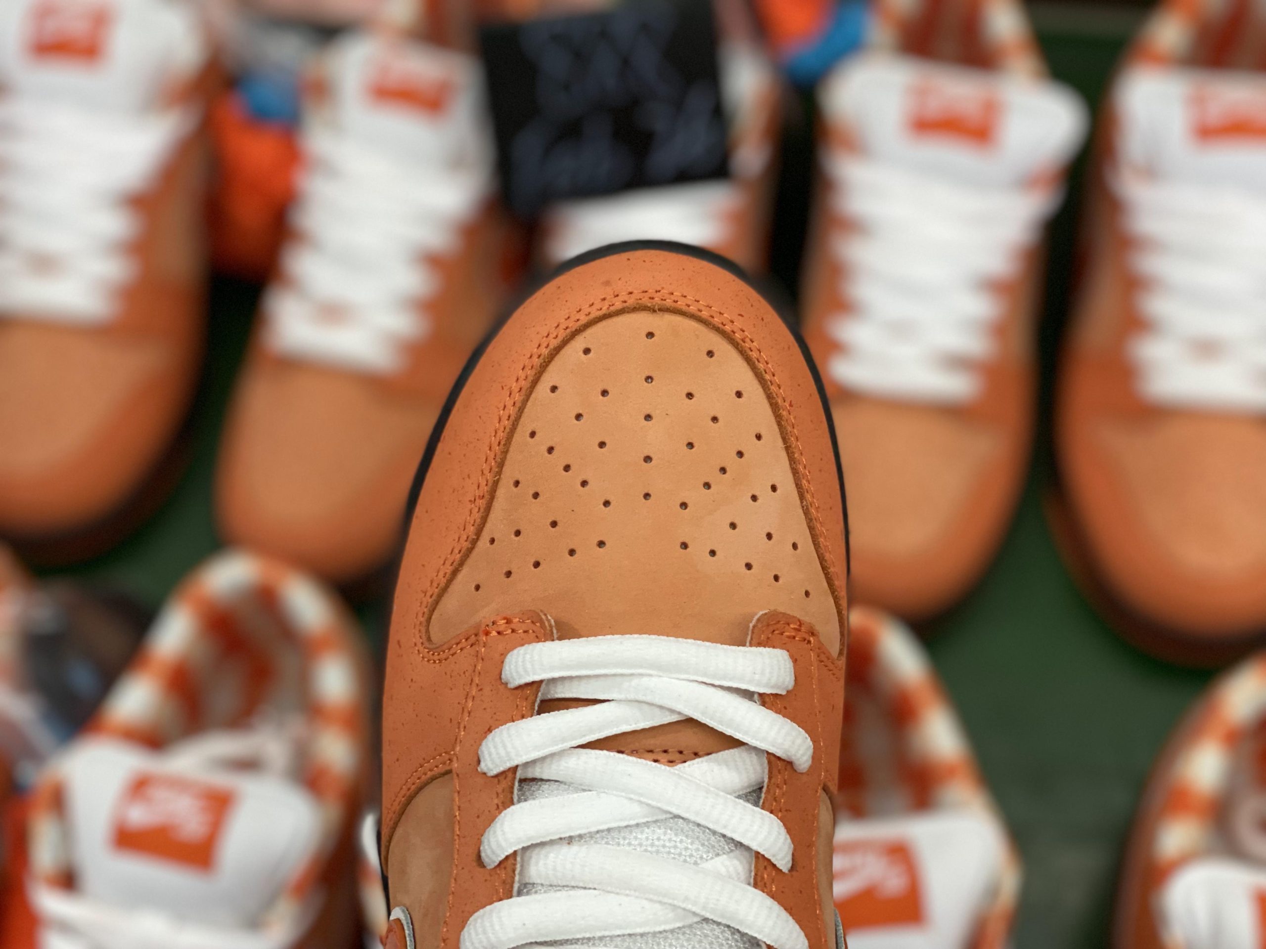 Nike SB Dunk Low Concepts Orange Lobster