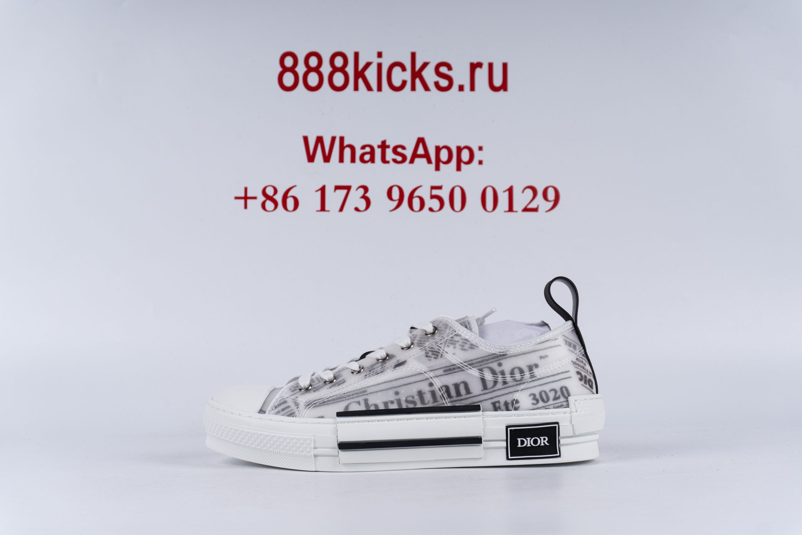 D1or B23 Low Top Daniel Asham Newspaper