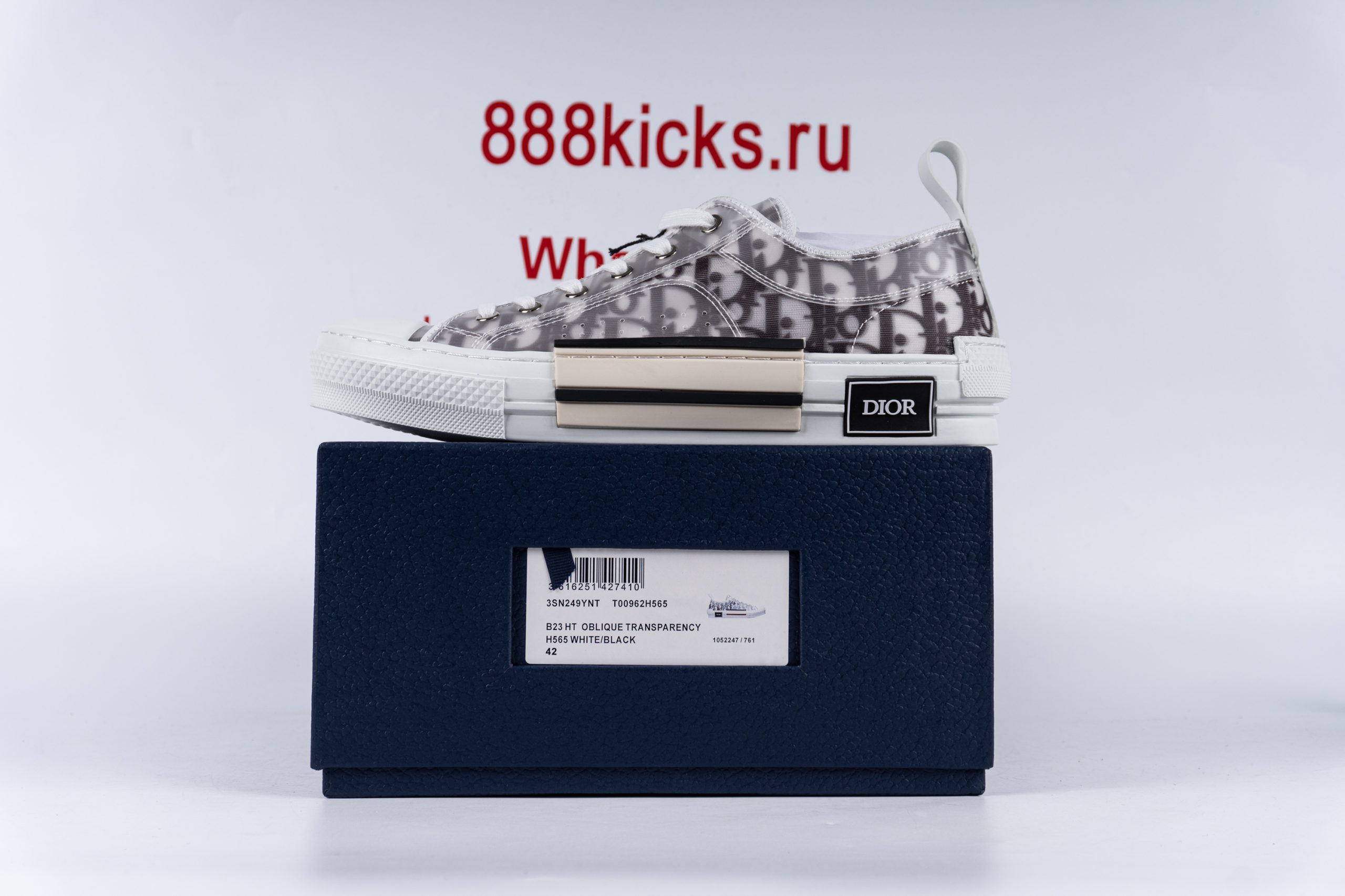 D*or b23 low top logo oblique