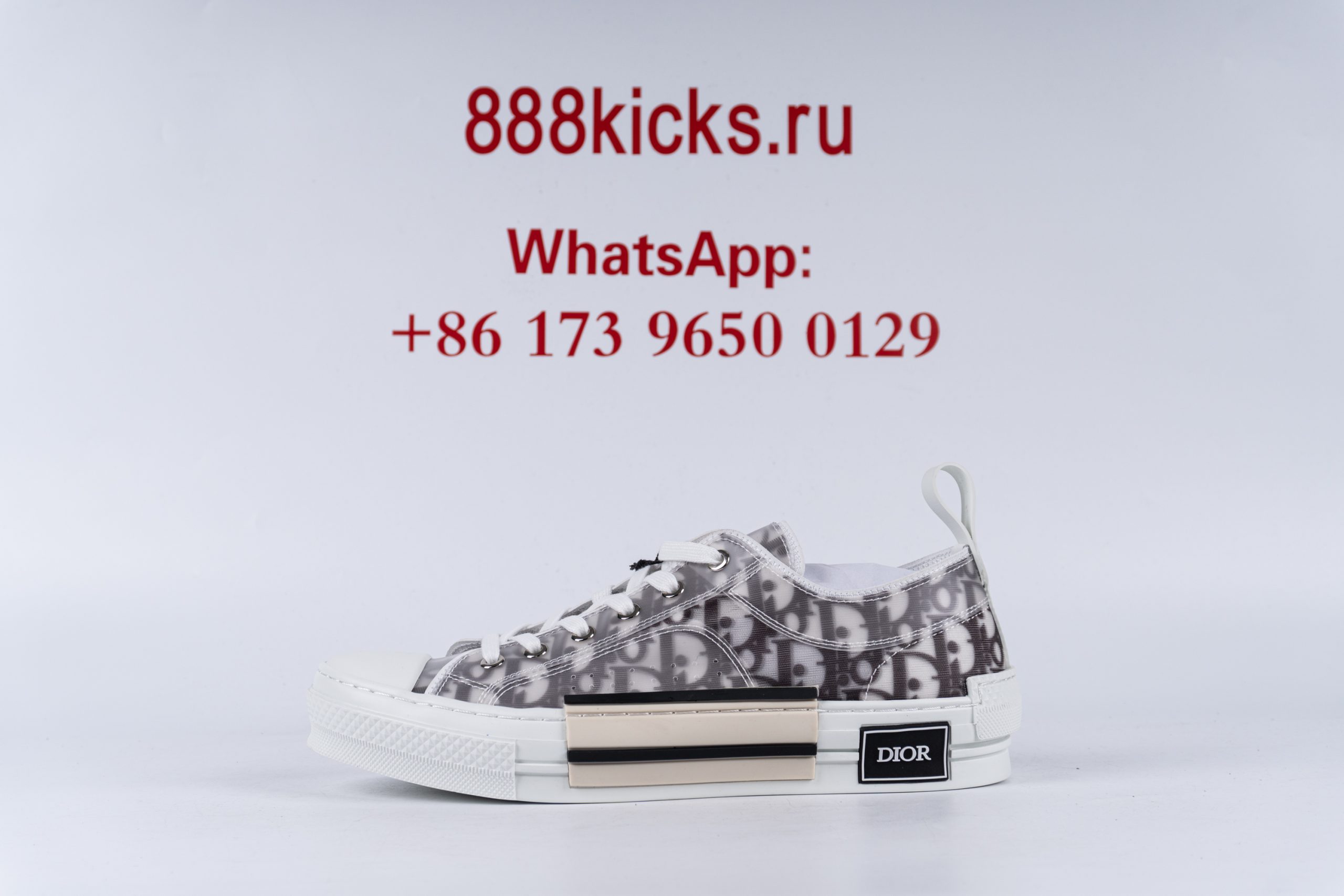 D*or b23 low top logo oblique