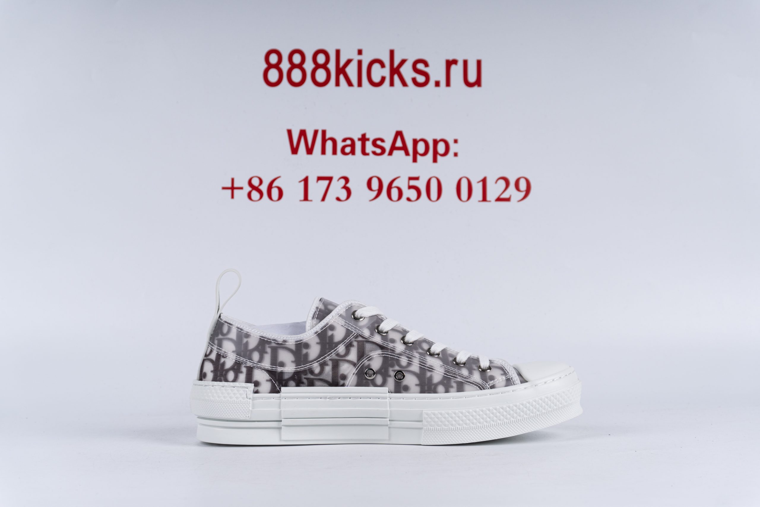 D*or b23 low top logo oblique