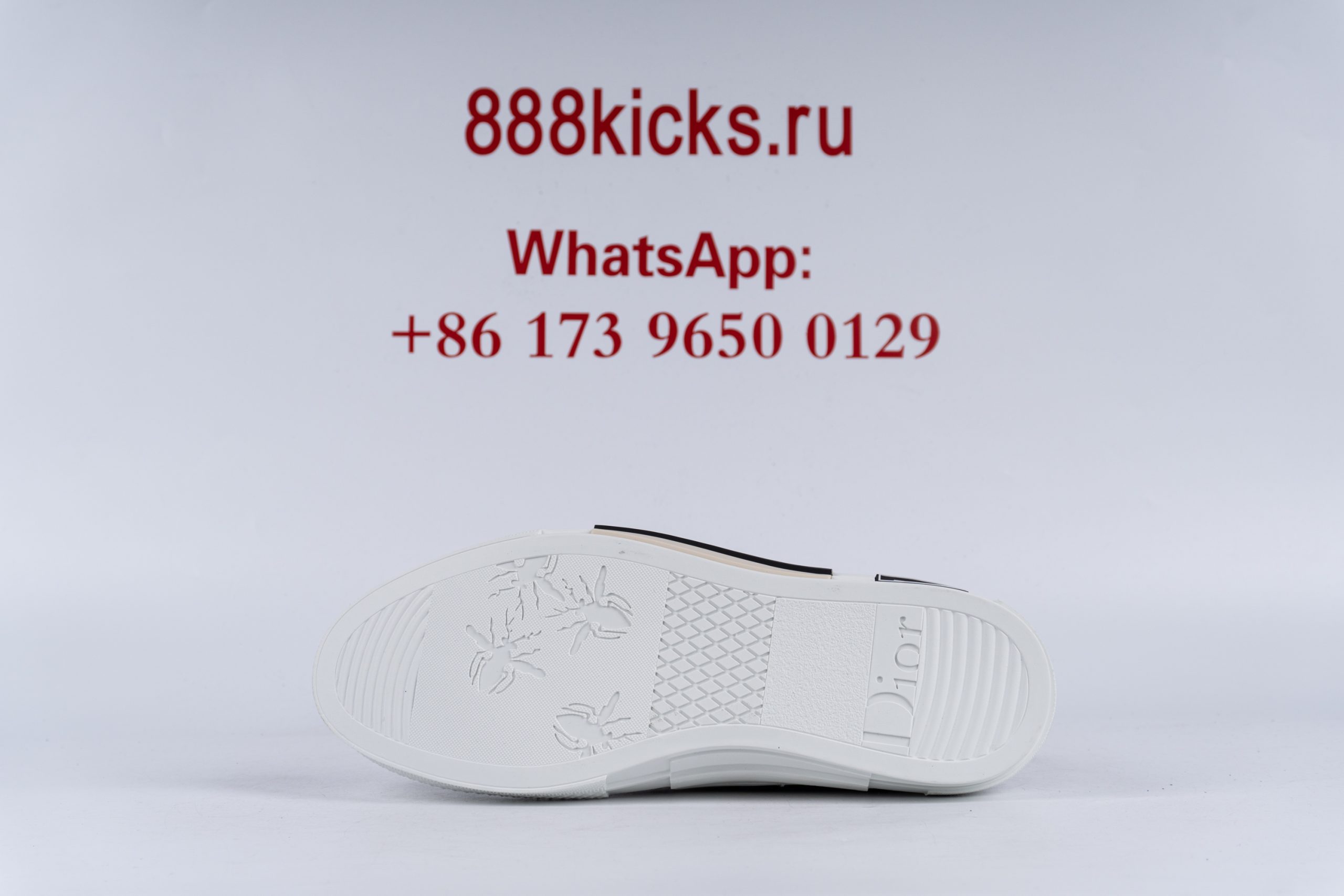 D*or b23 low top logo oblique