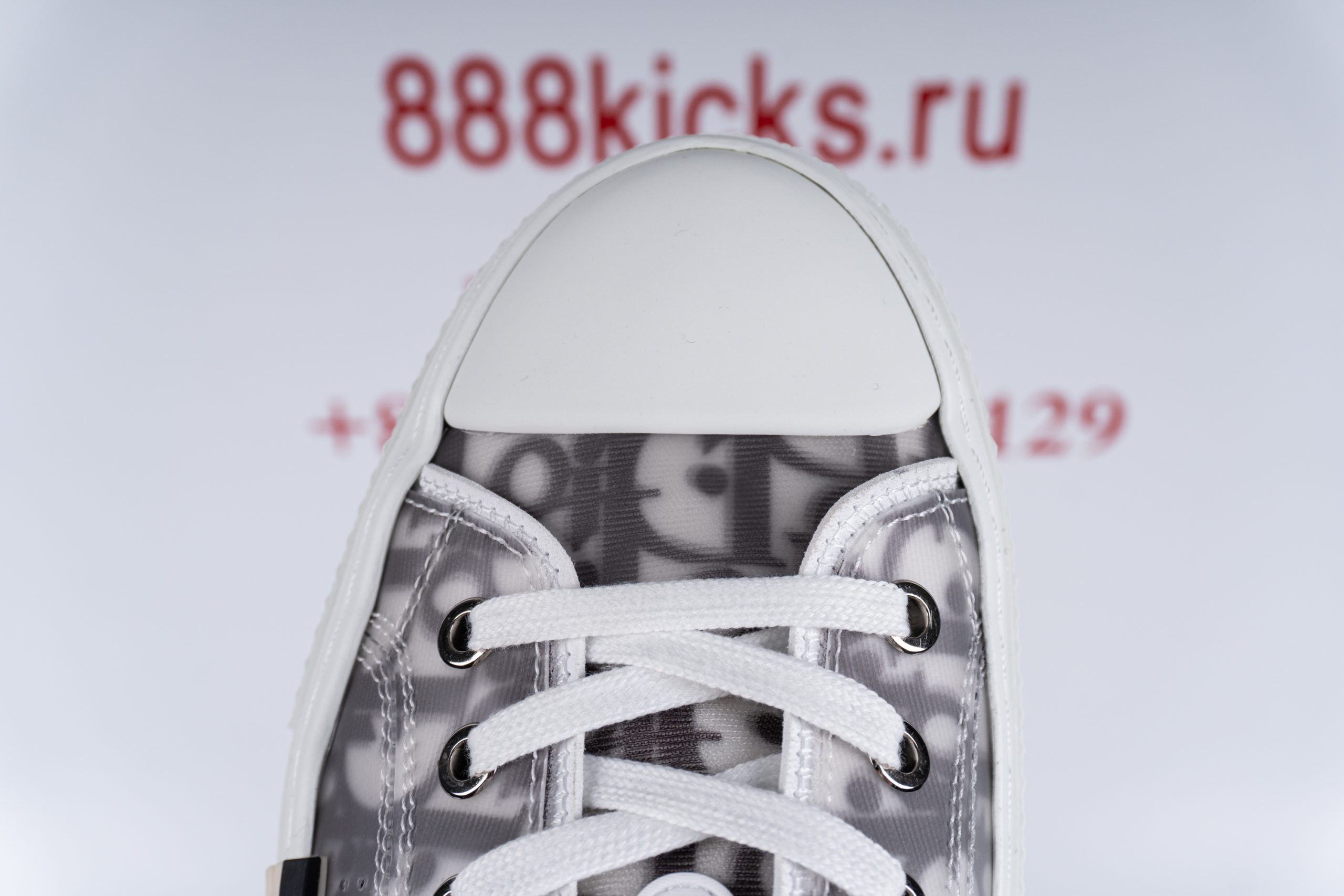 D*or b23 low top logo oblique